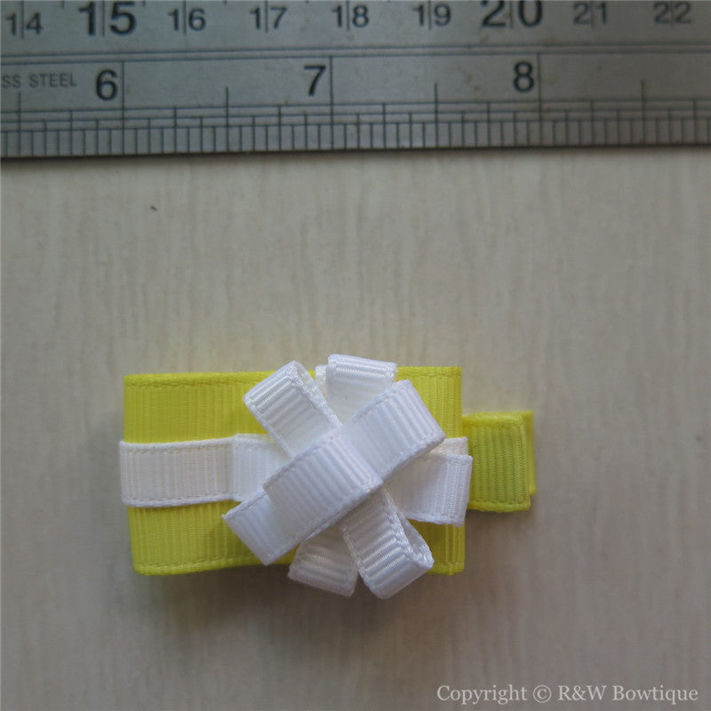 Gift Box Sculptured Hair Clip
