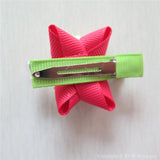 Turtle #C Sculptured Hair Clip